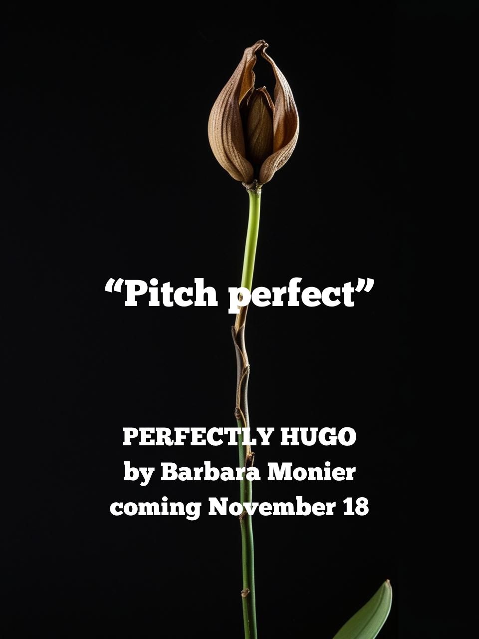 Perfectly Hugo - Precover