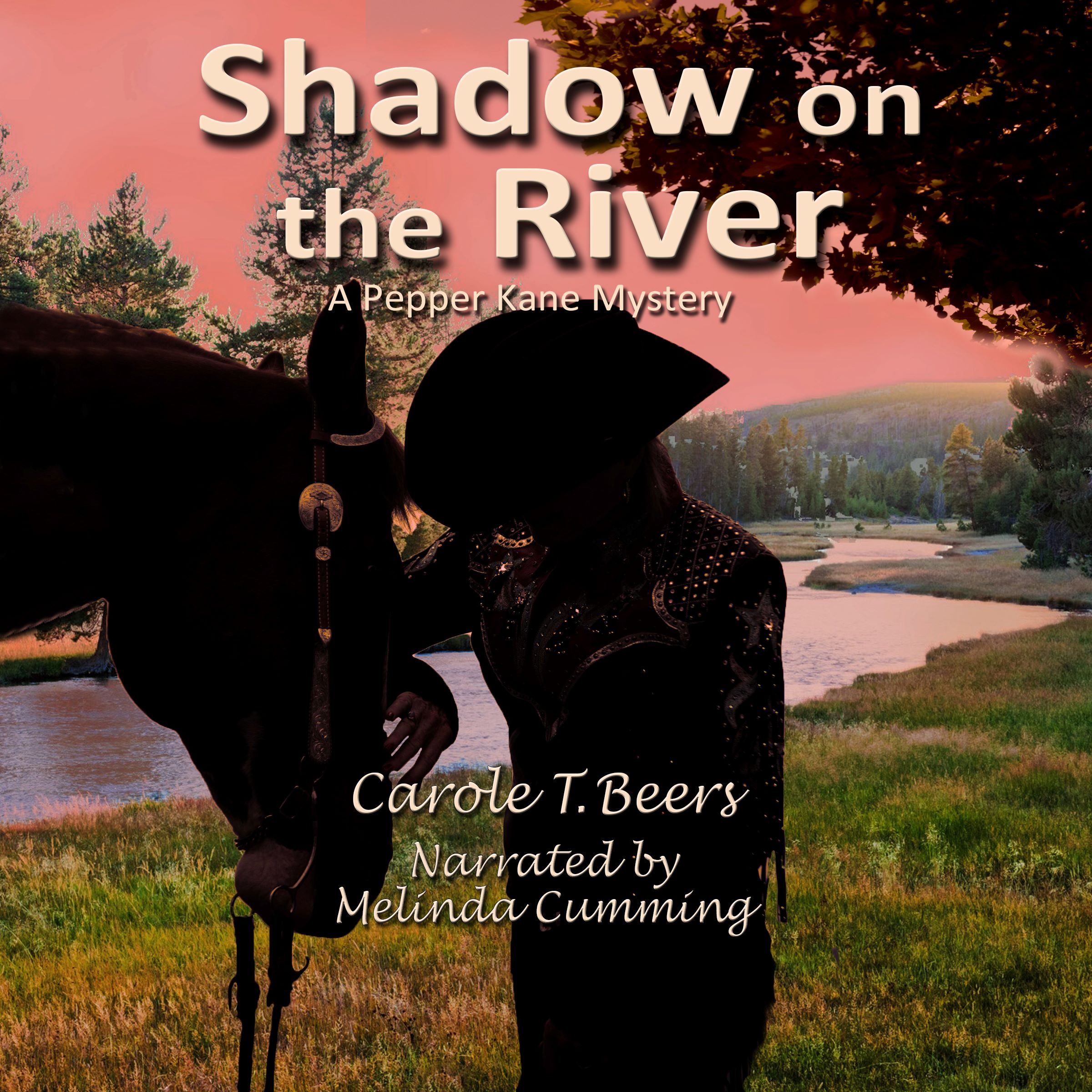 Shadowed River Audio Book Cover revised